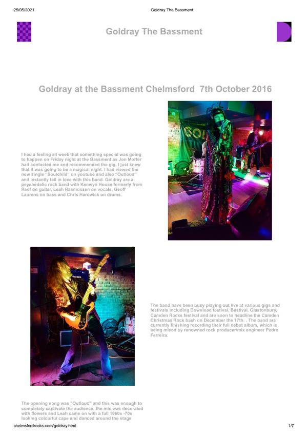 First-page preview of Goldray The Bassment.pdf